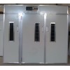 供應(yīng)德州旭升鴿子專用孵化機(jī)