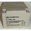 匯眾蓄電池6-FM-30/匯眾電池12V30AH